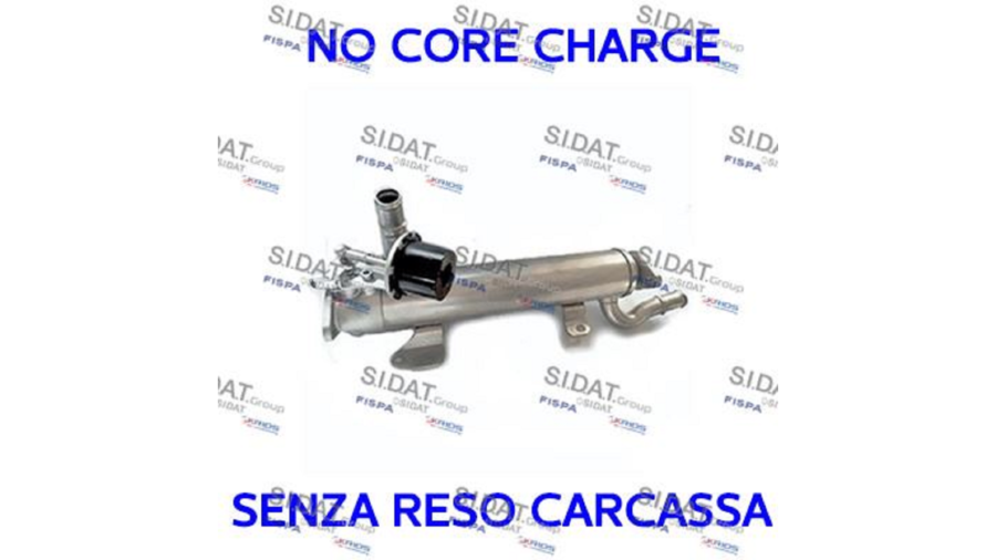 Radiatore Valvola E.G.R. Ricon