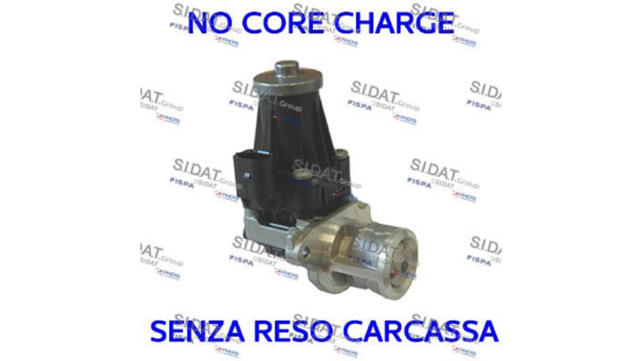 Valvola Egr Ricondizionata