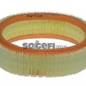 Filtro Aria Clio/Kangoo  1.4-1.6 04+