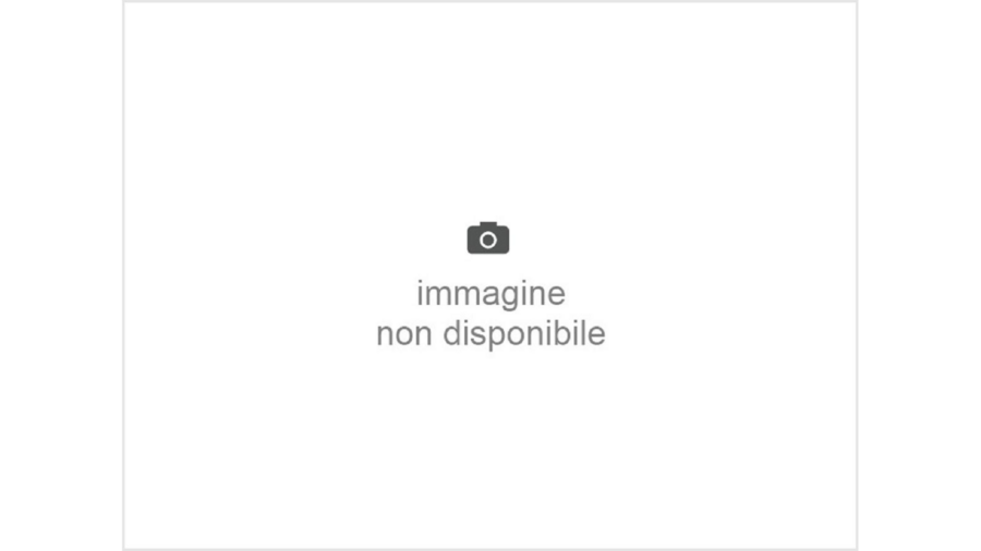 Filtro Olio Astra J-Insigna 09+2.0 Ctdi