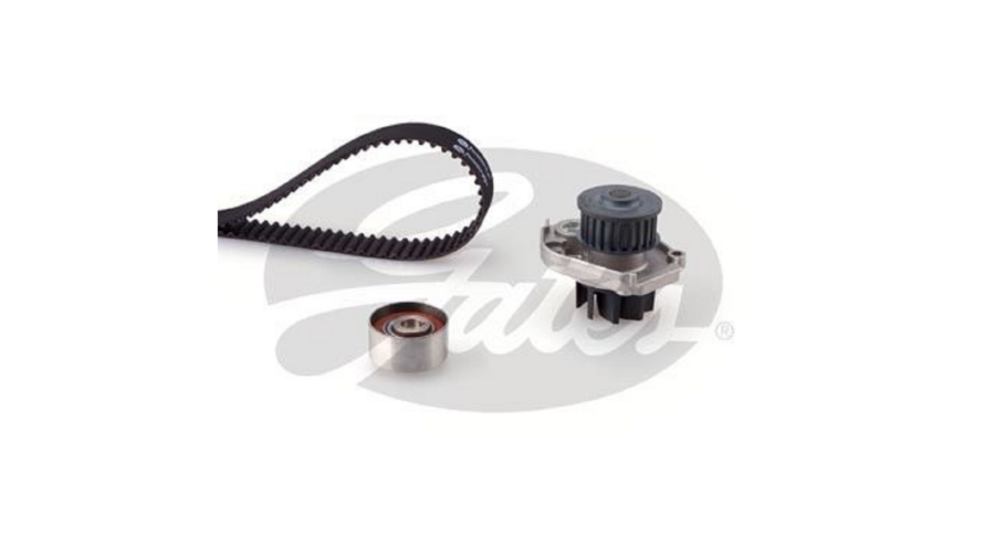 Kit Distribuzione Con P/A Grande Punto-Panda-Ypilon 1.2i-1.4i